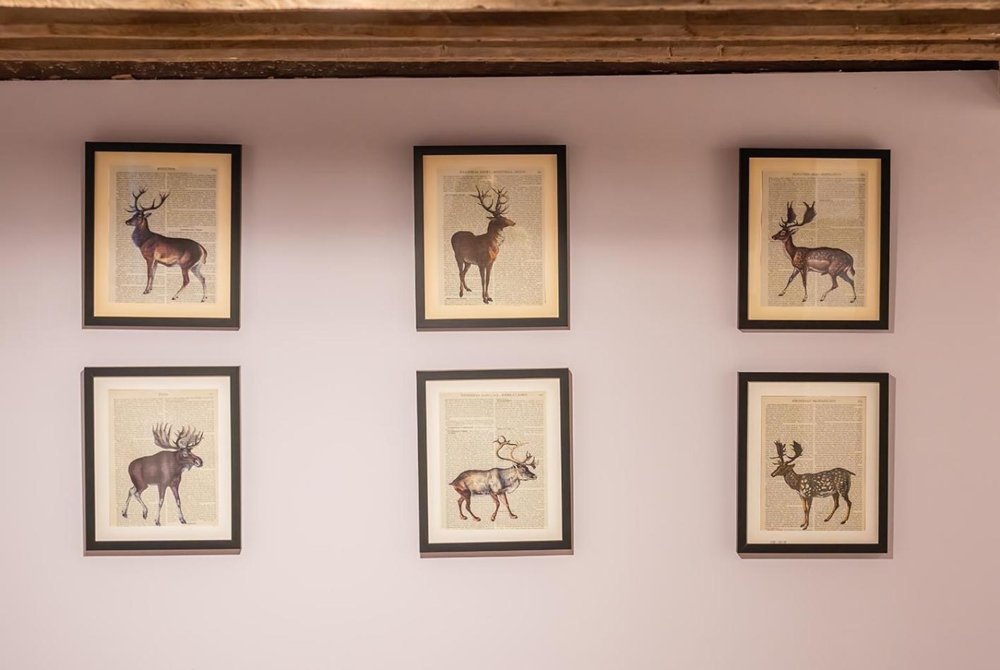 The White Horse, Rogate 호텔 피터스필드 외부 사진